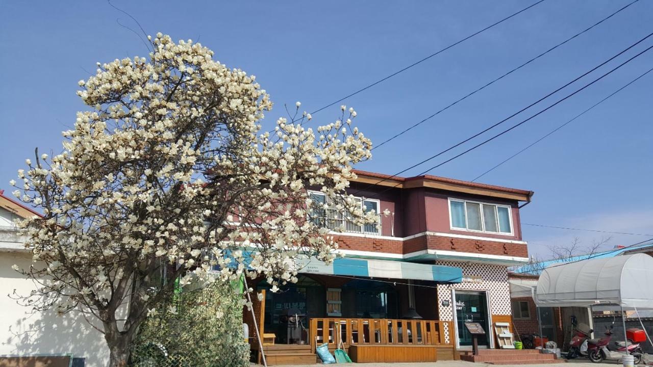 The Guesthouse Dmz Stay Paju Exterior foto